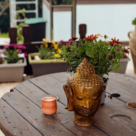Shiva Home 알카모 외부 사진