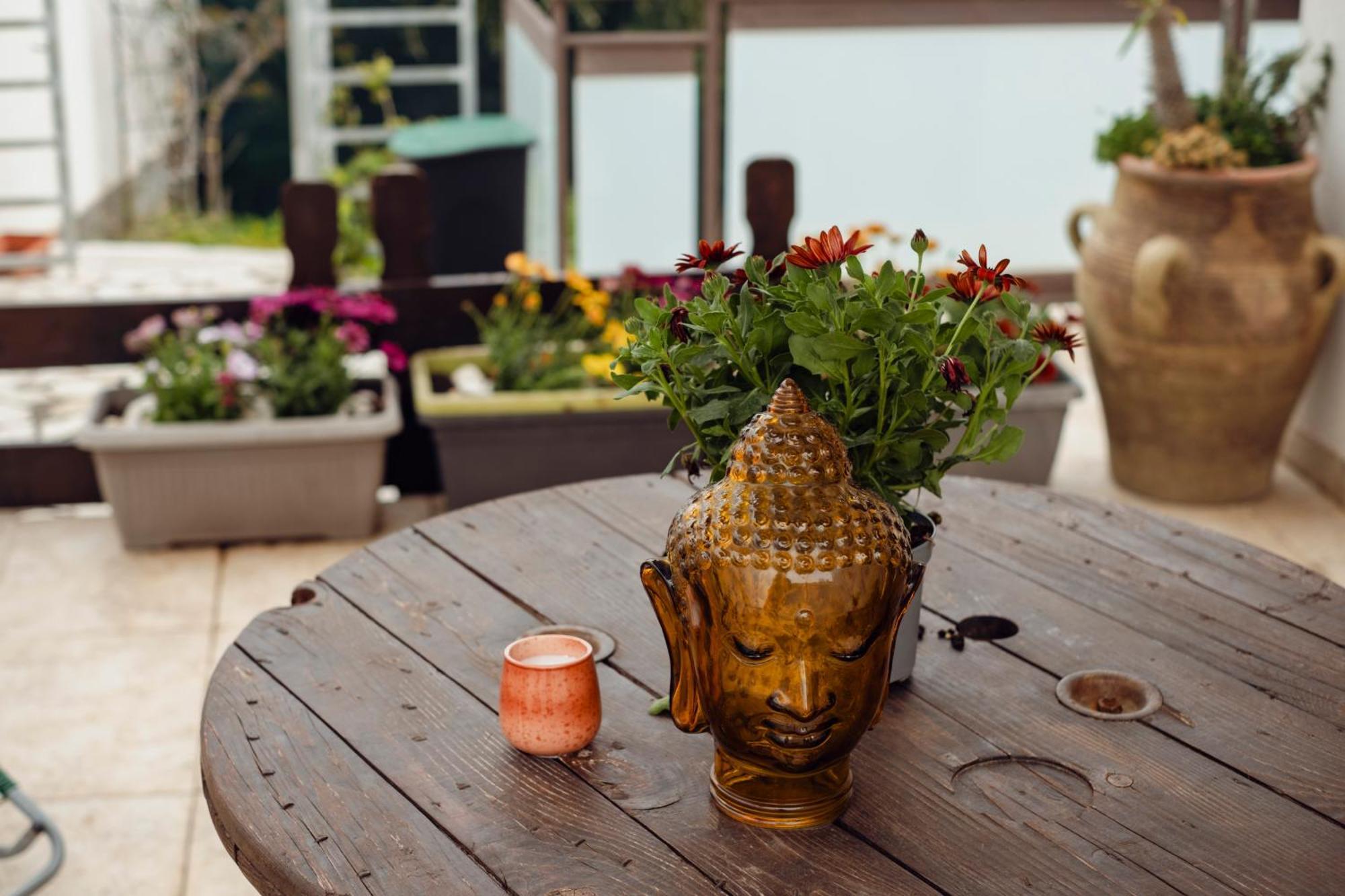 Shiva Home 알카모 외부 사진